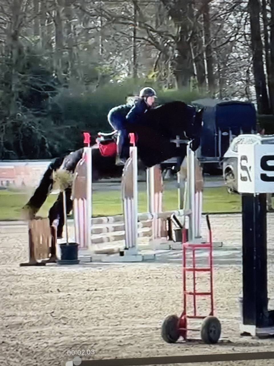 A VENDRE : Hongre 5 ans Kannan x Diarado