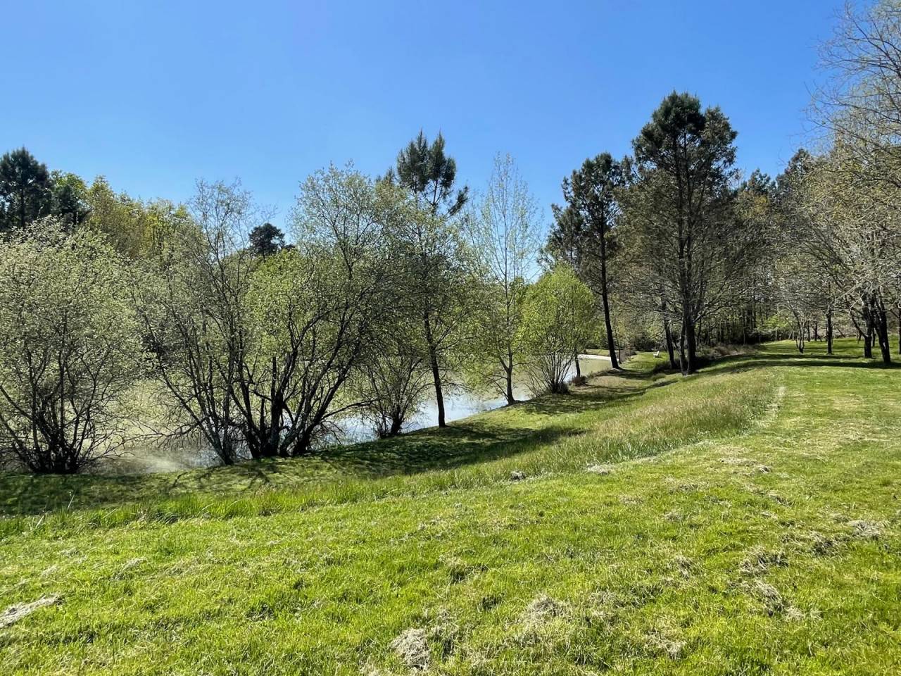 Propriété 31 ha idéale chevaux/gîtes 10 mn MONTPON M.