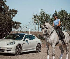 IMPARCIAL: Un lusitanien prêt à vous éblouir