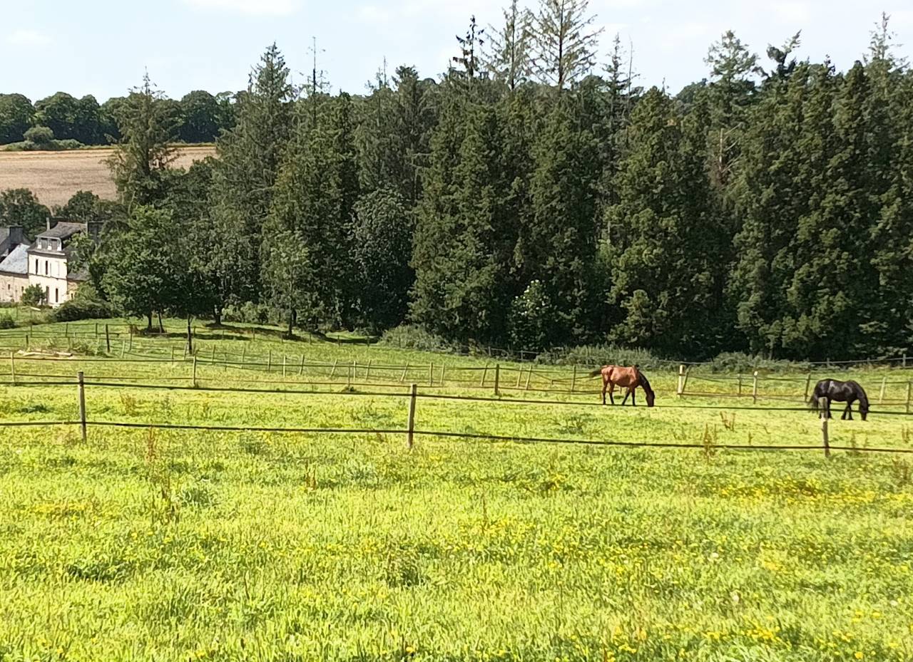 Logement 4 pers / 2 chambres en Finistère