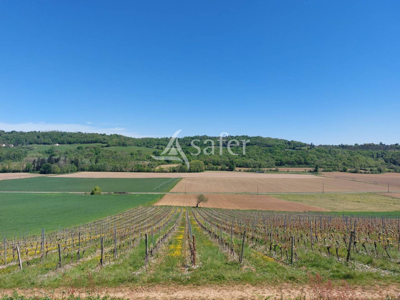 Ancien domaine viticole