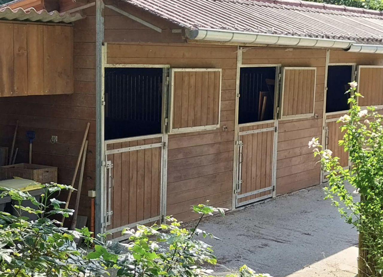 Charmante propriété équestre 5.6ha (38)