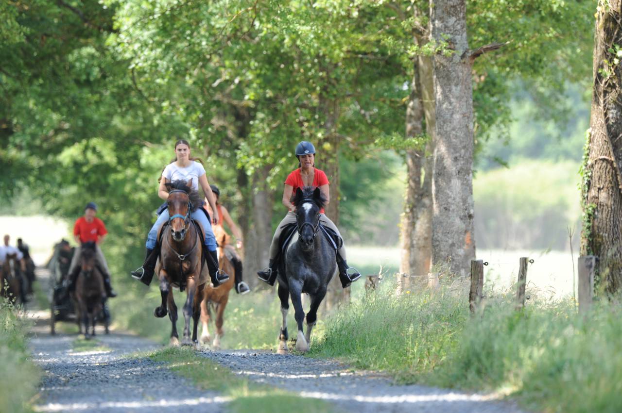 Randonnée à cheval