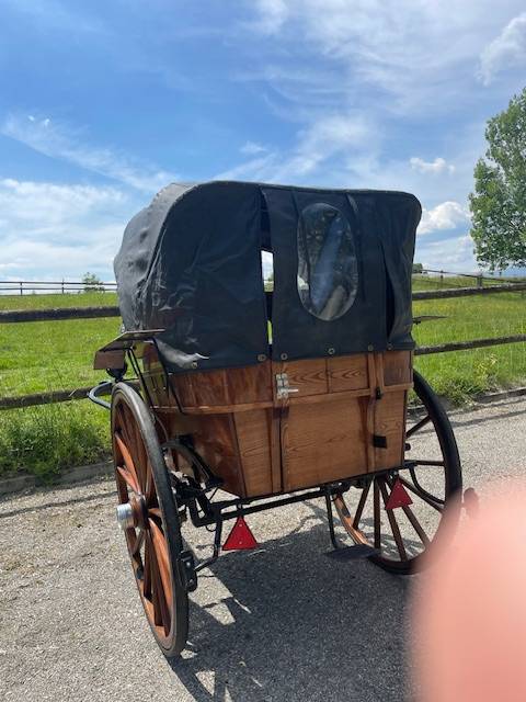 Magnifique Tilbury ancien en parfait état