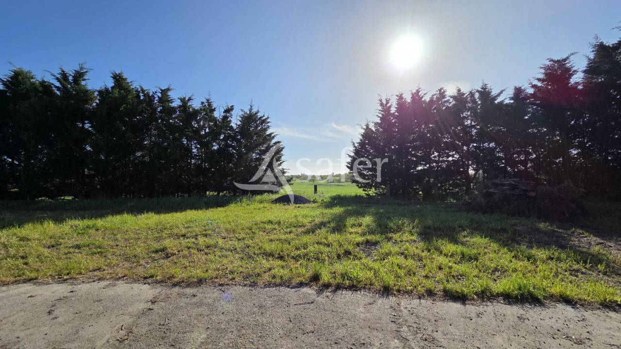 Bati ancien de caractère et son foncier d'un seul tenant