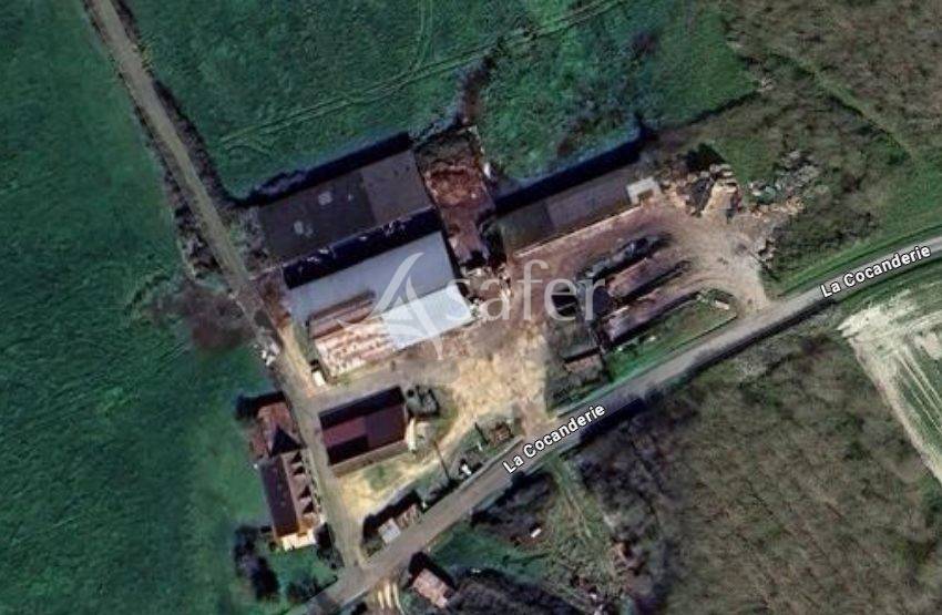 Exploitation Polyculture-élevage