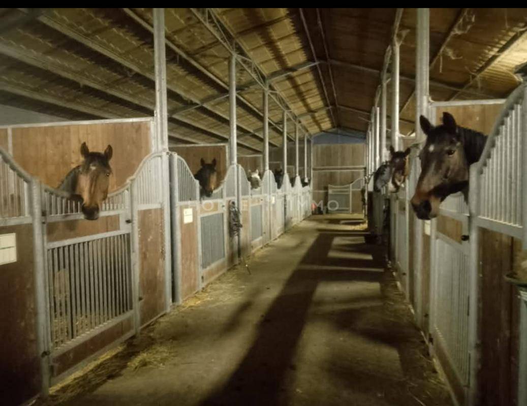 Domaine Équestre avec Gîtes et Salle de Réception - À Deux
