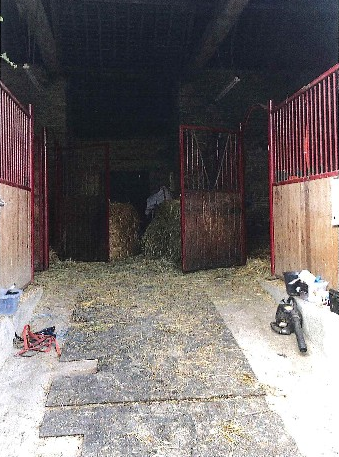 Propriété équestre - Habitation - B&B - Gîte - 6Ha