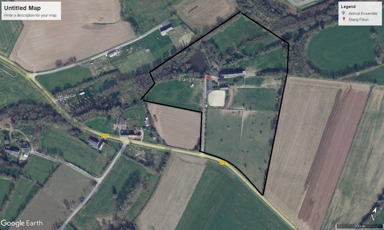 Propriété équestre - Habitation - B&B - Gîte - 6Ha