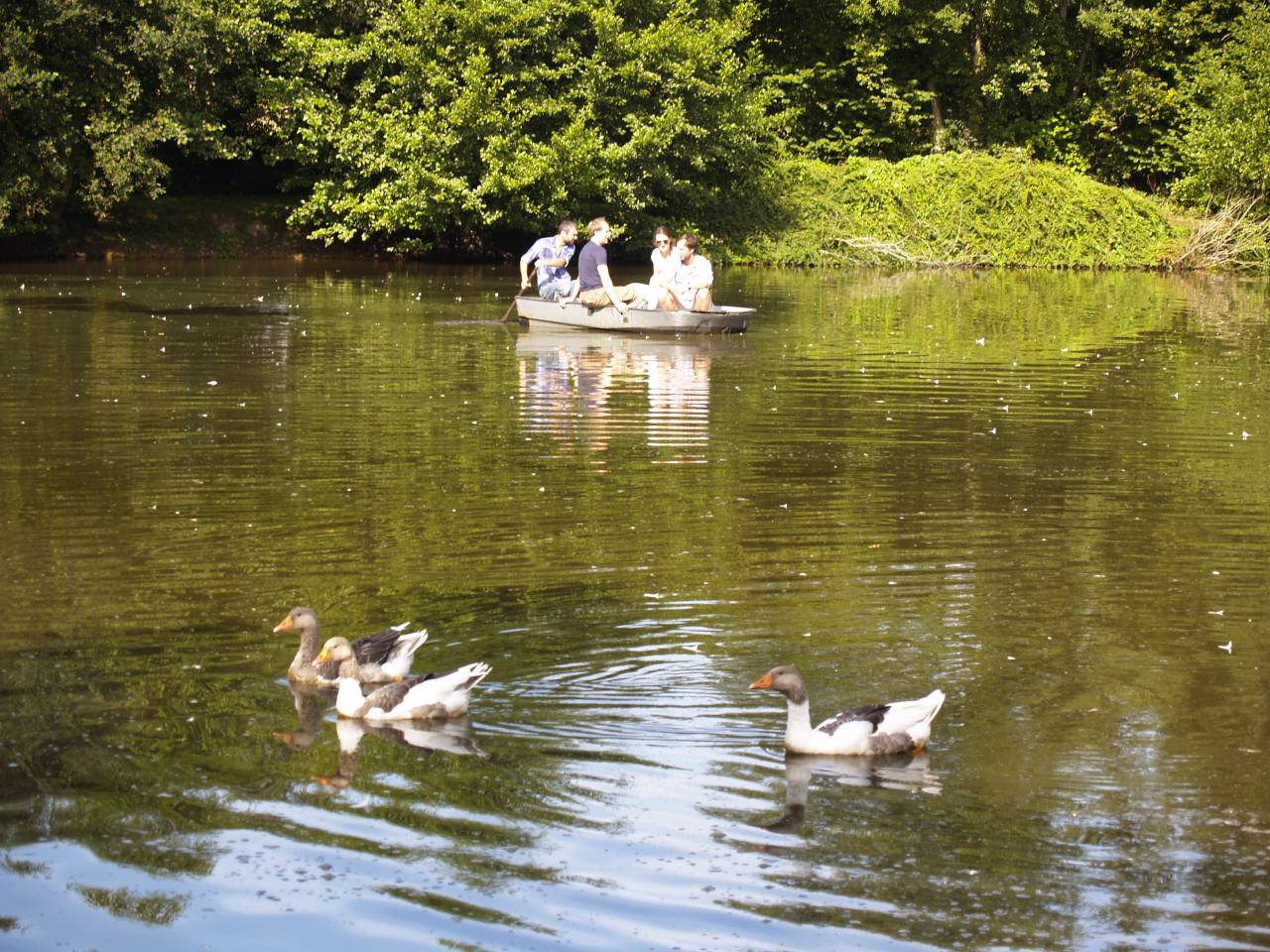 Propriété équestre - Habitation - B&B - Gîte - 6Ha