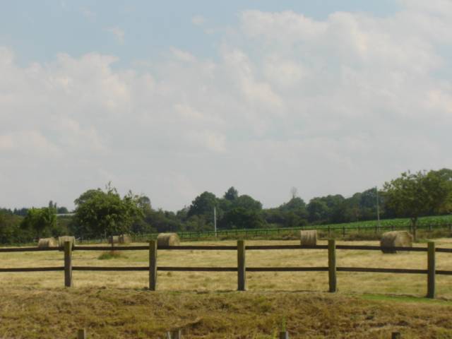 Propriété équestre - Habitation - B&B - Gîte - 6Ha