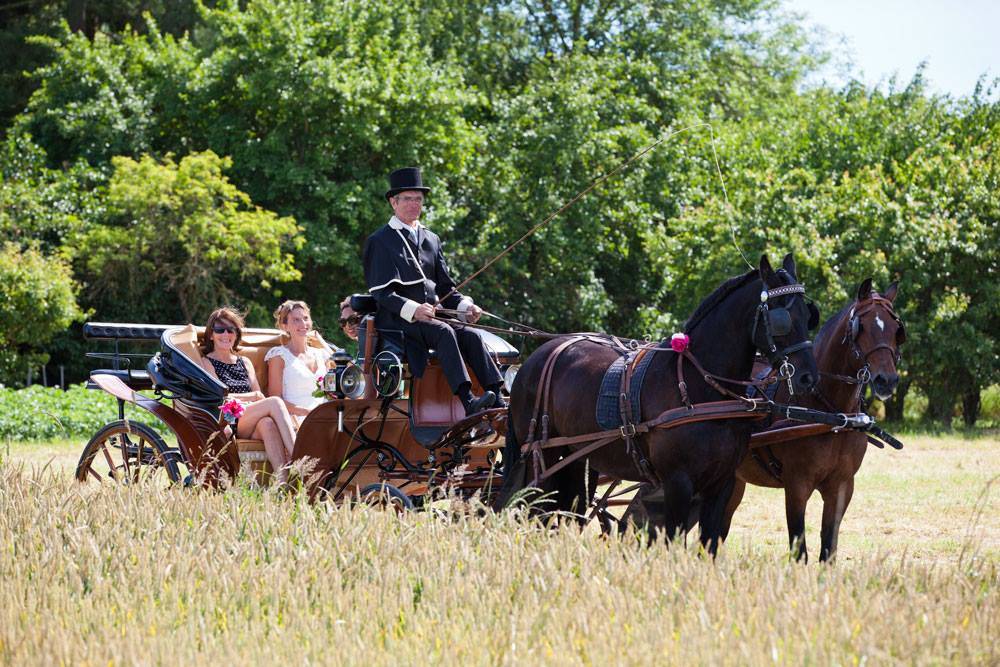 Victoria - Duc Victoria