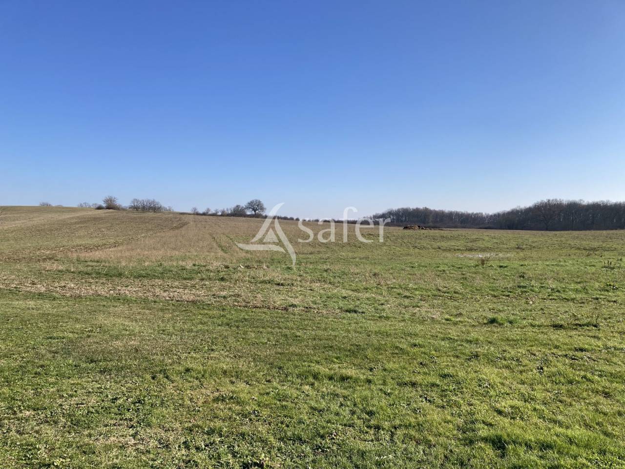 Très jolie propriété en pierre touristique et agricole