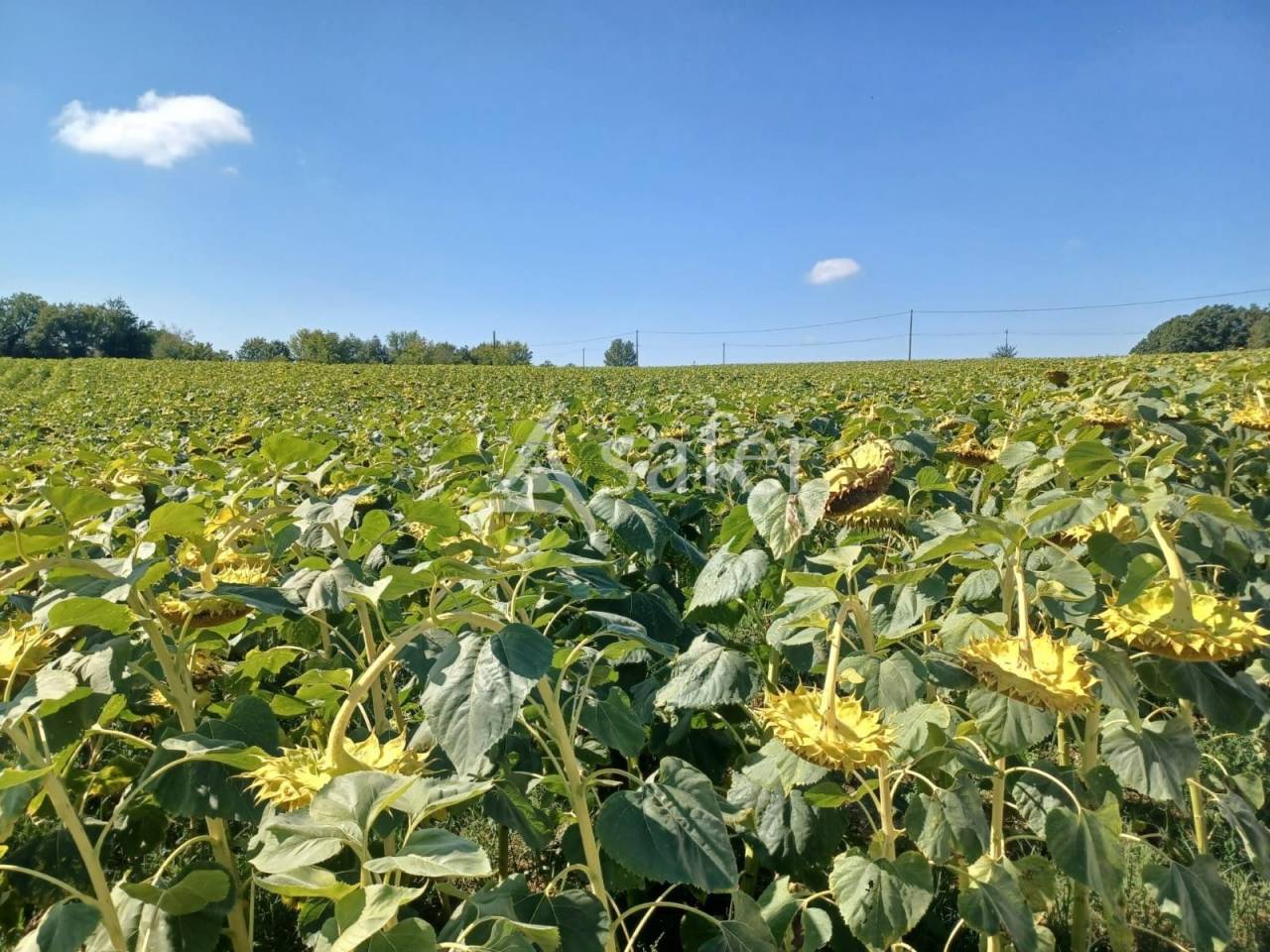 Propriété agricole sur 25ha