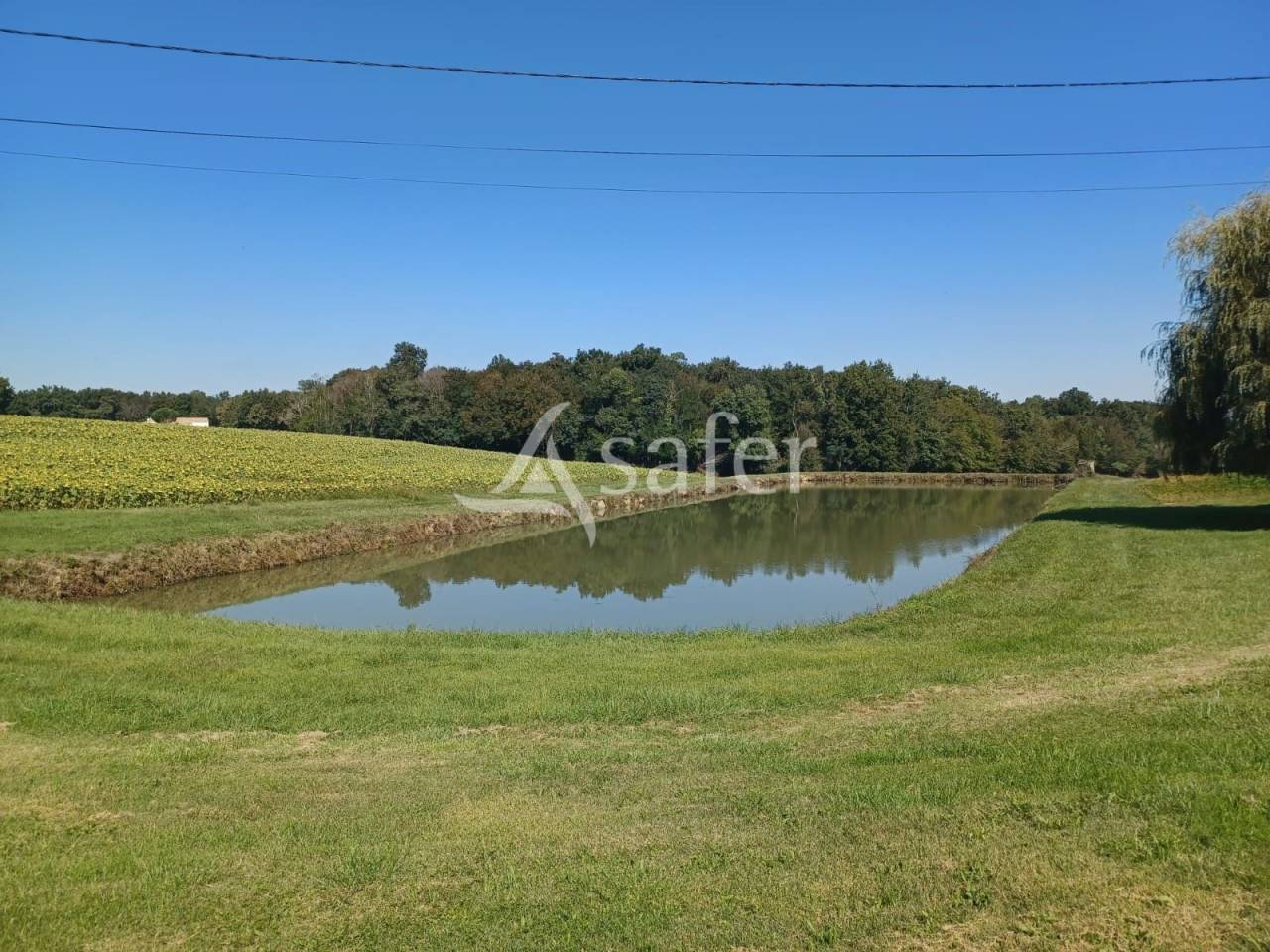 Propri&eacute;t&eacute; agricole sur 25ha