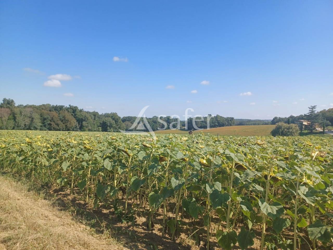 Propri&eacute;t&eacute; agricole sur 25ha