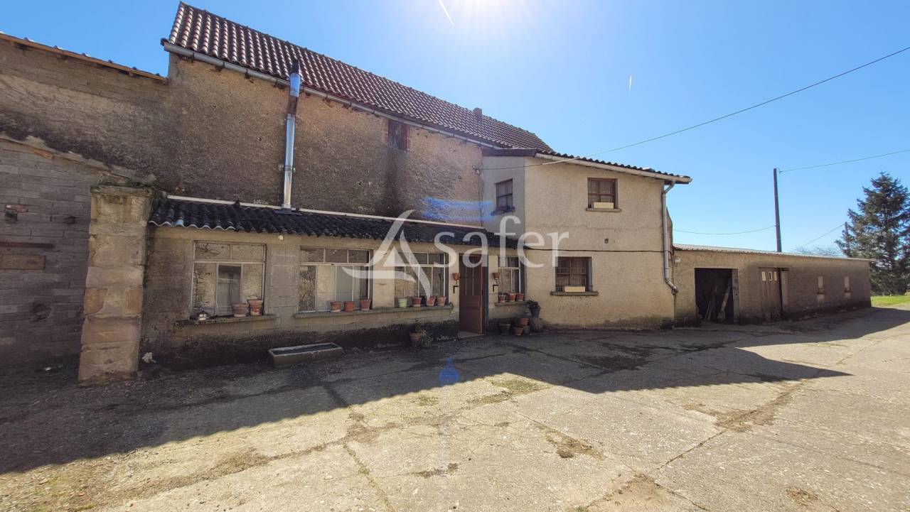 Exploitation agricole idéal projet élevage ou hébergement rur