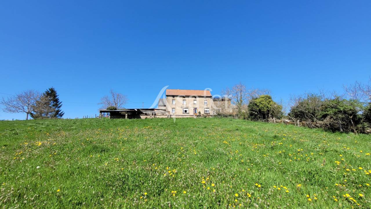 Exploitation agricole idéal projet élevage ou hébergement rur