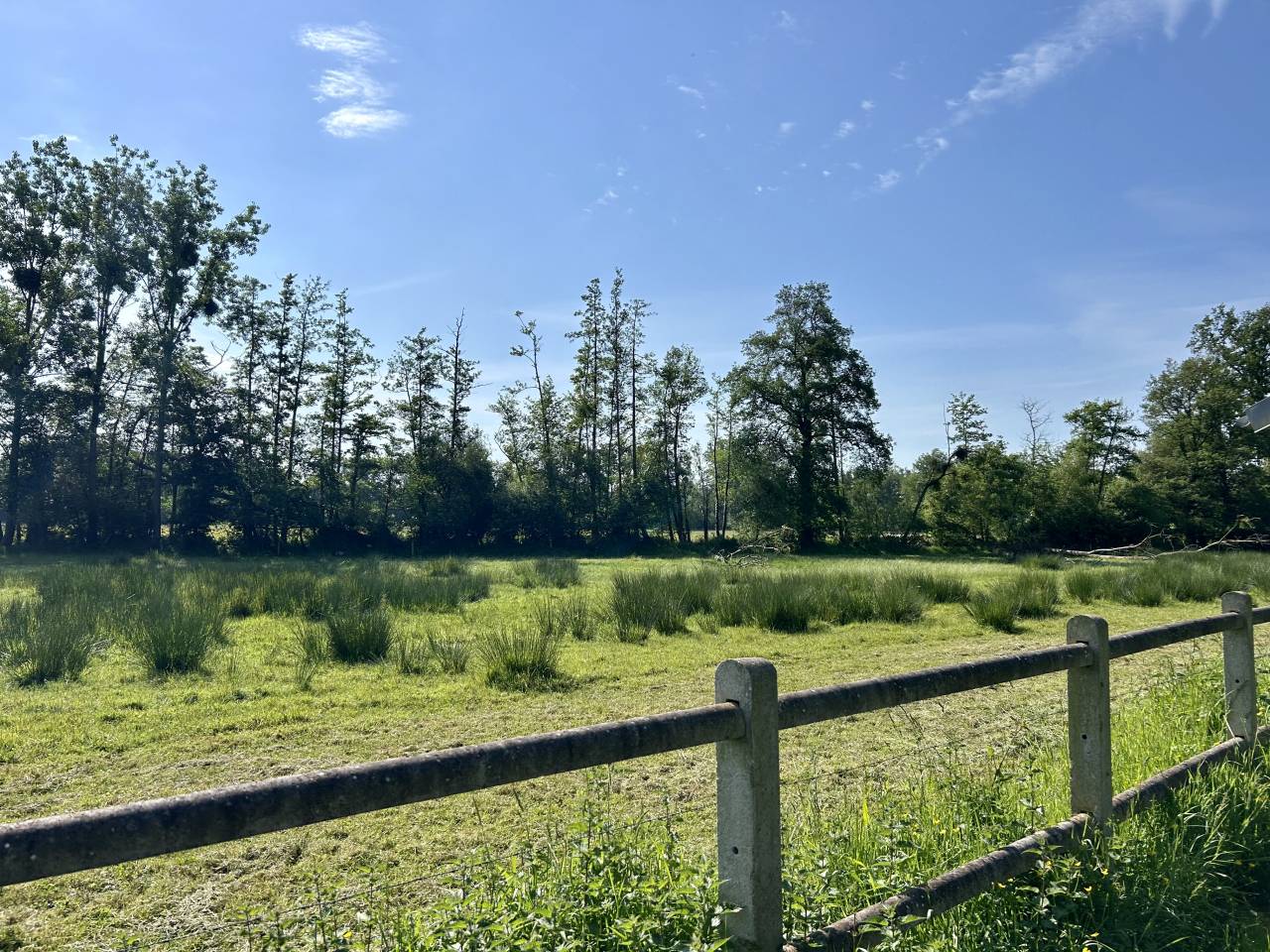 Domaine avec gites sur 3ha