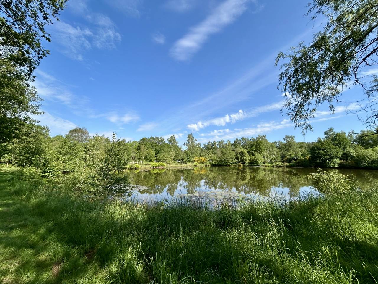 Domaine avec gites sur 3ha