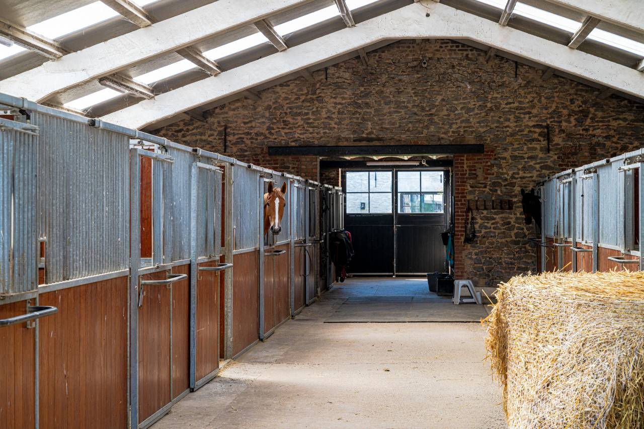 Belgique-Autoroute de Paris-MONS/Feluy