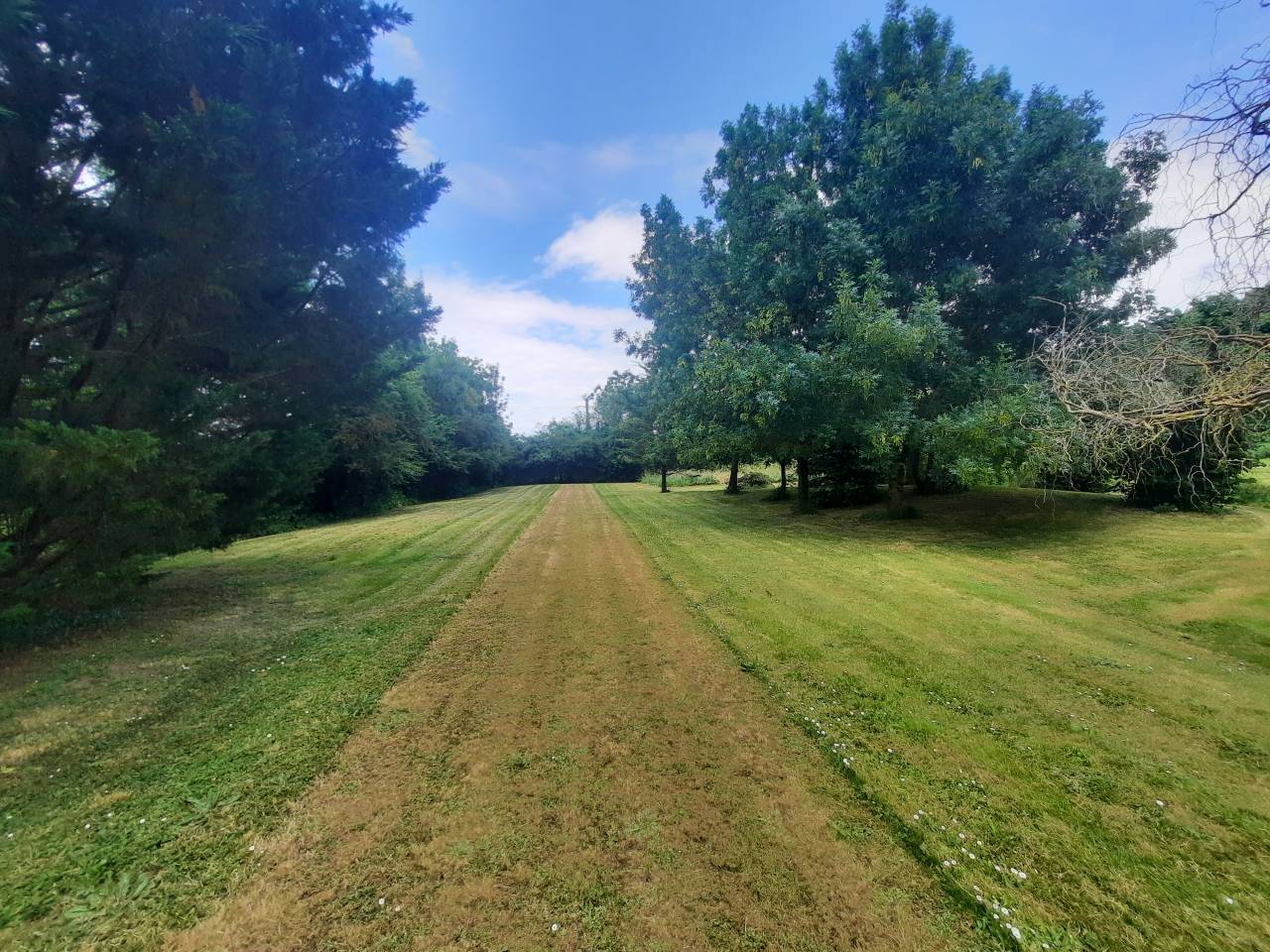 Demeure historique - Gites 3,6 ha - 30 mn LA ROCHELLE 