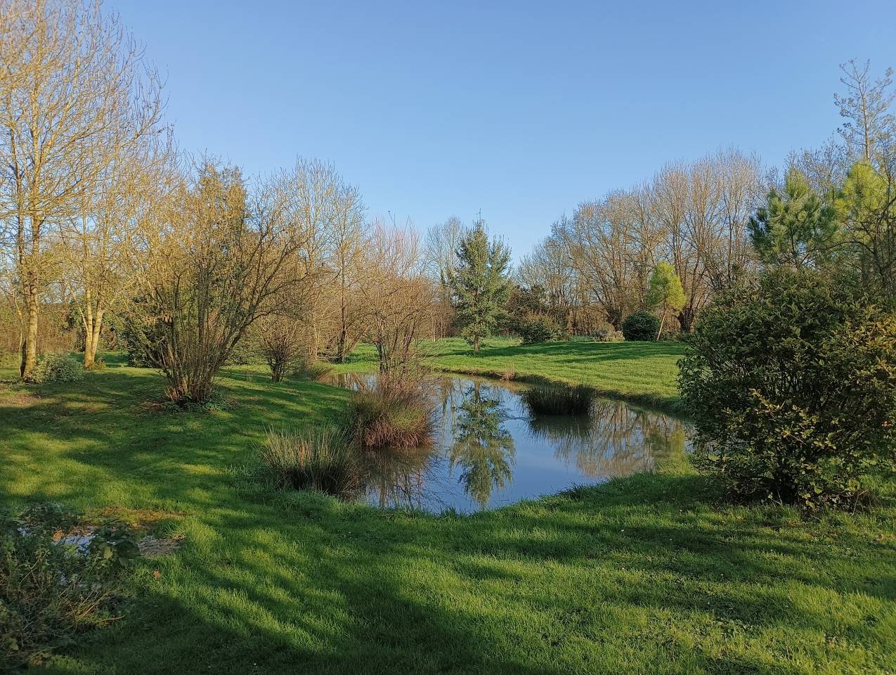 Demeure historique - Gites 3,6 ha - 30 mn LA ROCHELLE 