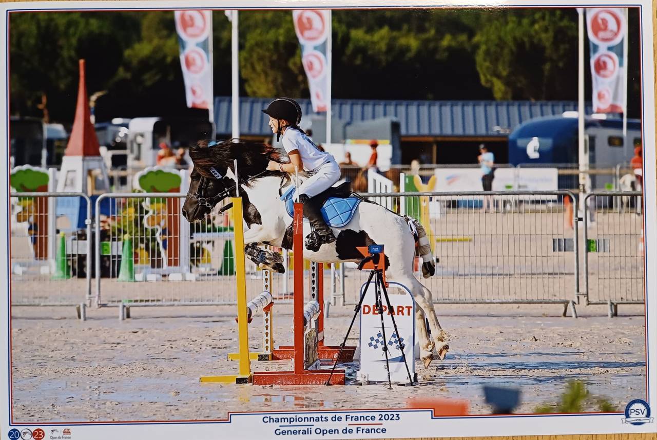 Etalon shetland grand standard - ipo129