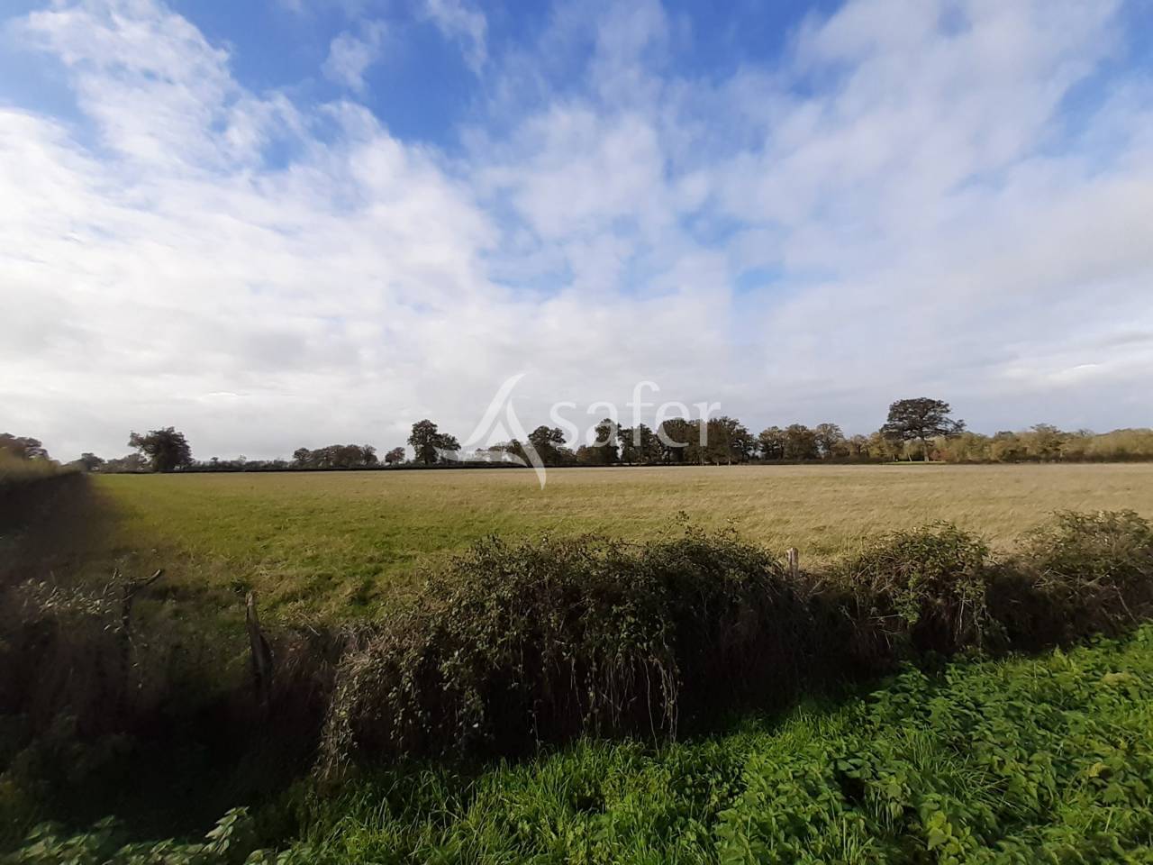 Exploitation Ovine sur 93 ha