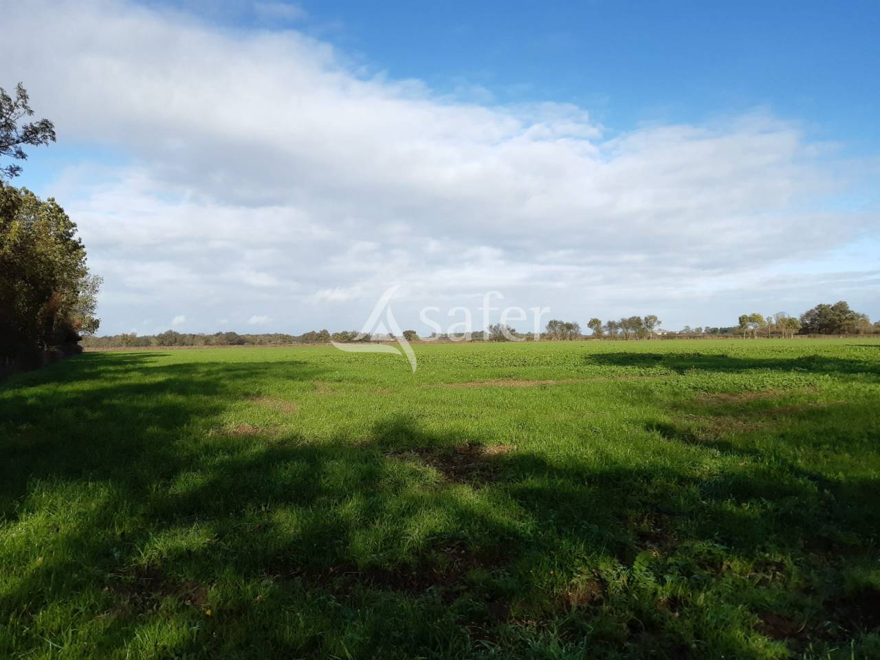 Exploitation Ovine sur 93 ha