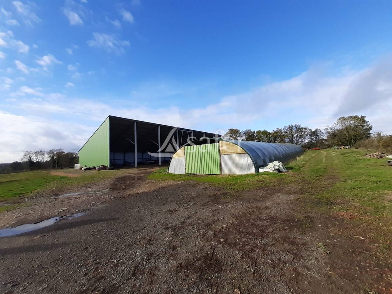 Exploitation Ovine sur 93 ha