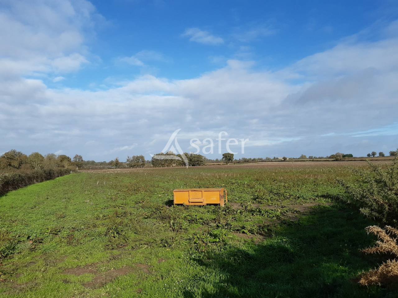 Exploitation Ovine sur 93 ha