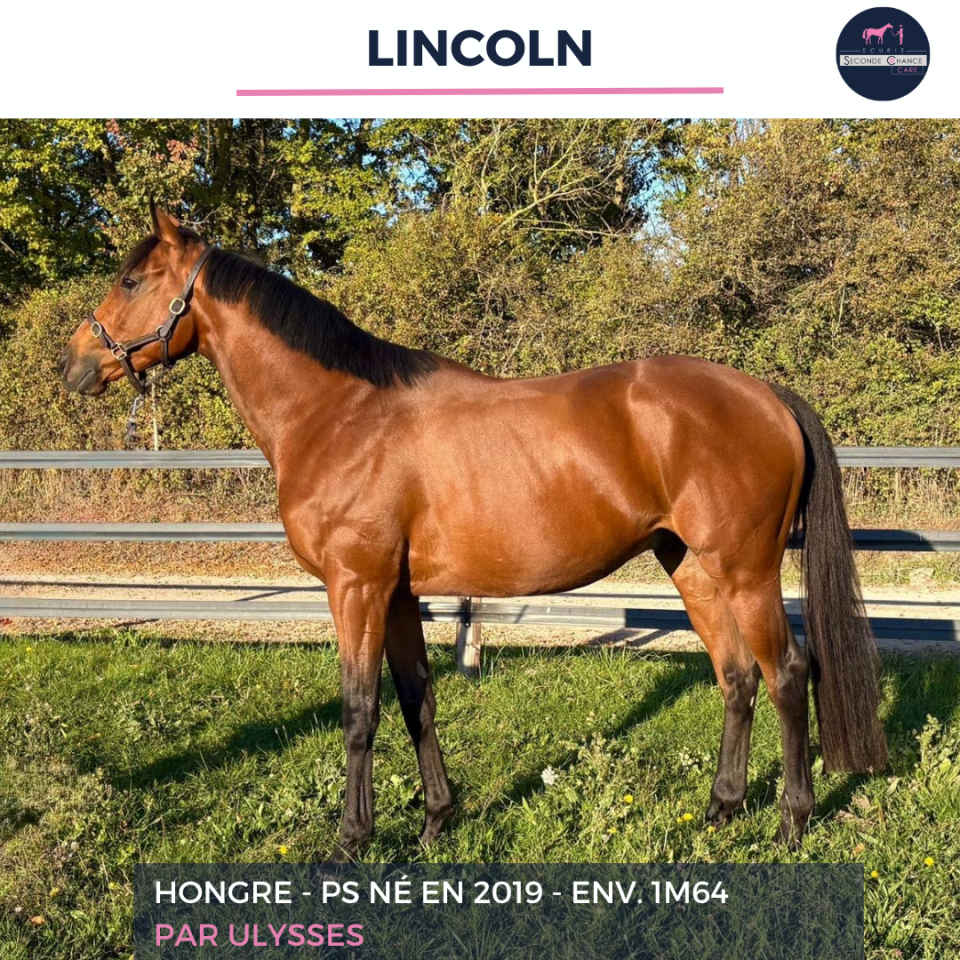 LINCOLN - PS - 6 ANS