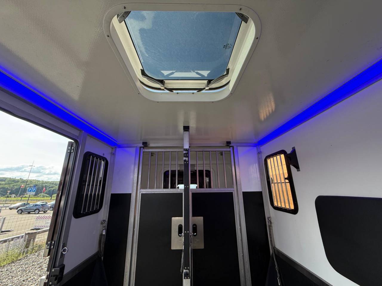 VL MASTER KRISMAR STALLES - 165CH - VENDU