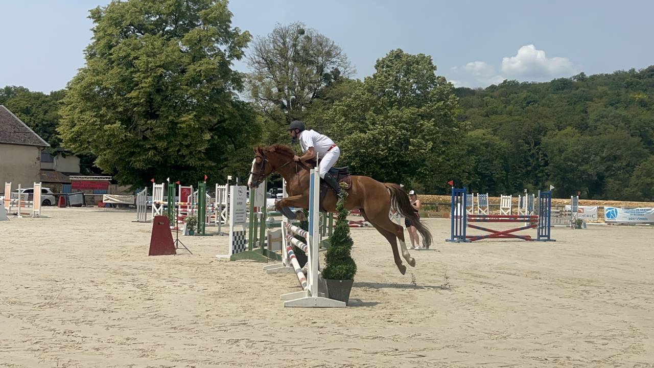 India de la Verchère Jument de 7 ans par Arko