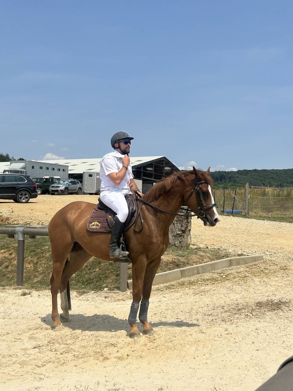 India de la Verchère Jument de 7 ans par Arko