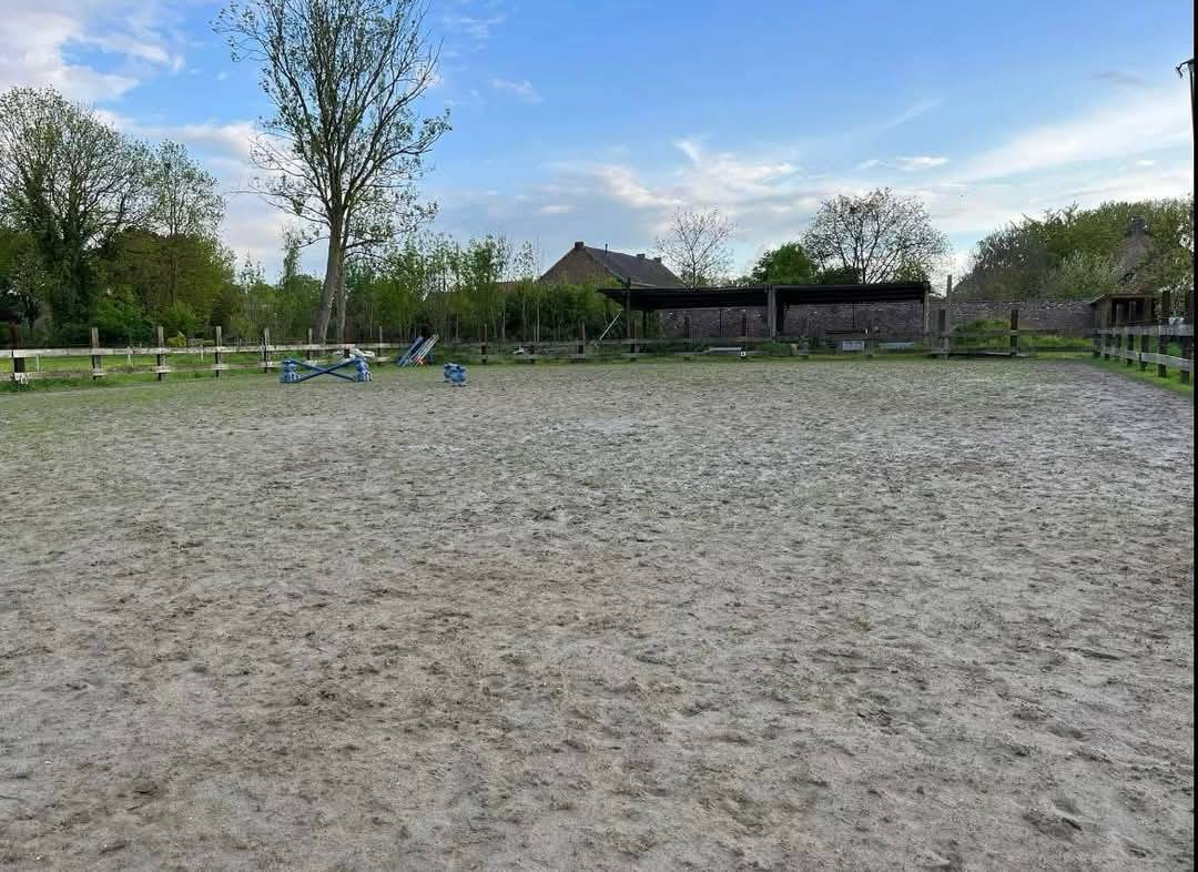 Nouvelle gérance aux ecuries de mesvin 