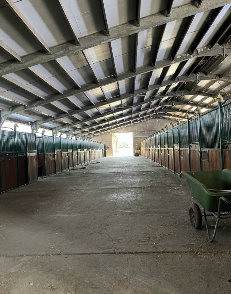 Nouvelle gérance aux ecuries de mesvin 