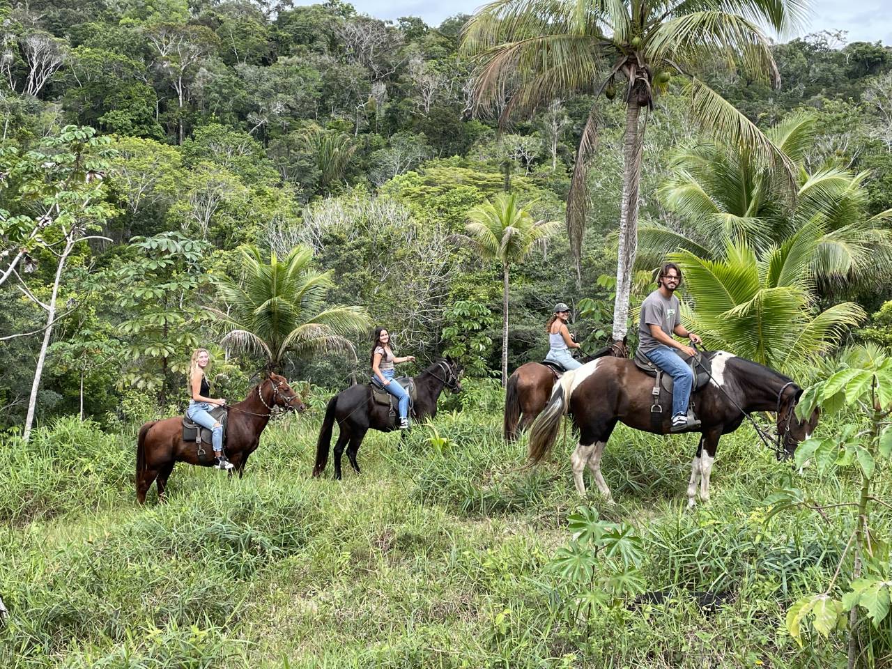 FERME EQUESTRE 15HA A ITACARE BA-BRESIL A 3KM DE LA MER
