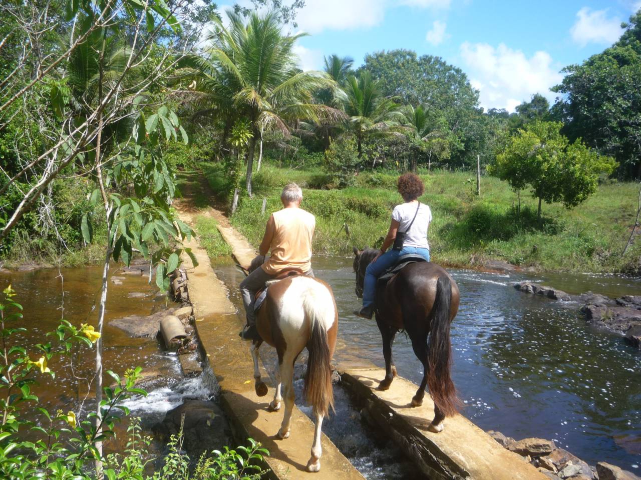 FERME EQUESTRE 15HA A ITACARE BA-BRESIL A 3KM DE LA MER