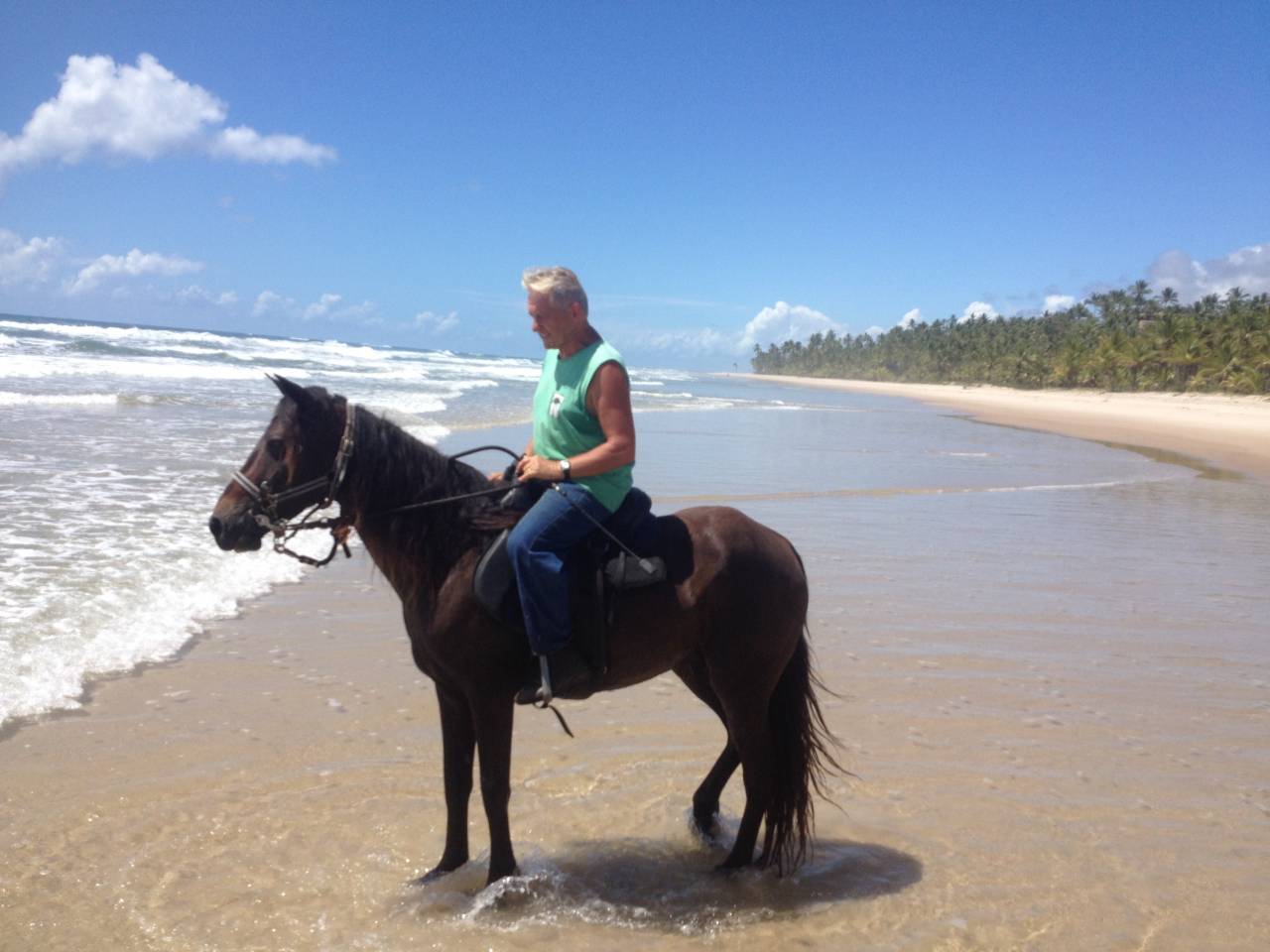 FERME EQUESTRE 15HA A ITACARE BA-BRESIL A 3KM DE LA MER