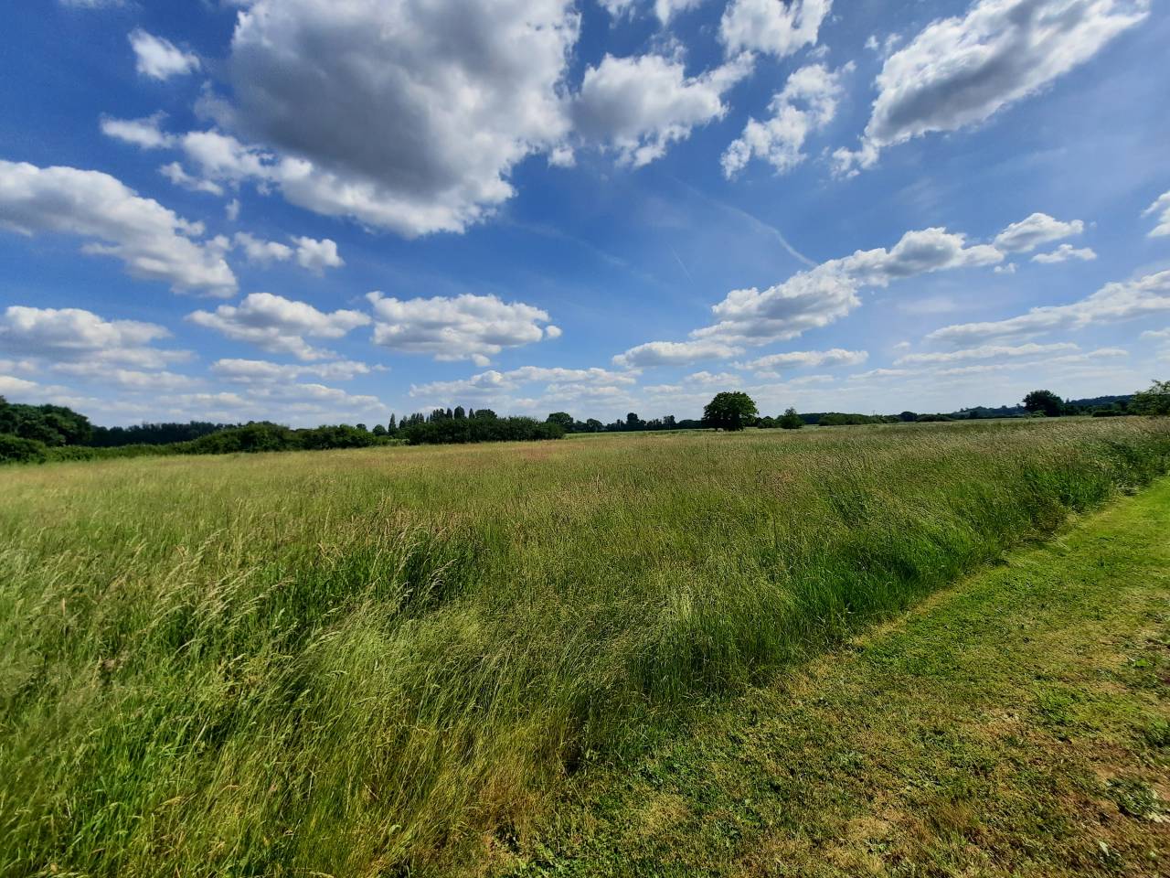 Propriété équestre sur 6,3 ha à 15 mn de Vierzon (18)