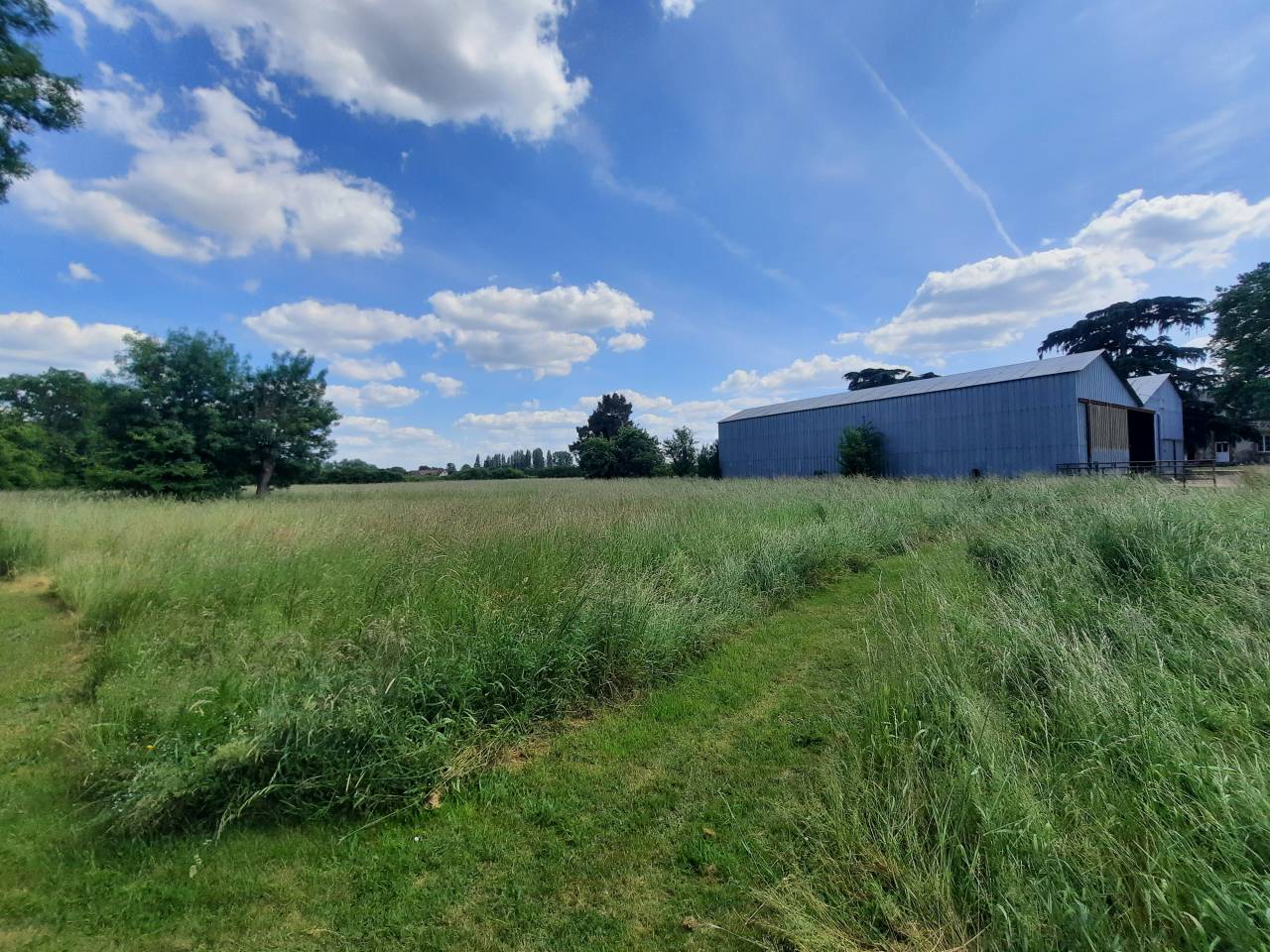 Propriété équestre sur 6,3 ha à 15 mn de Vierzon (18)