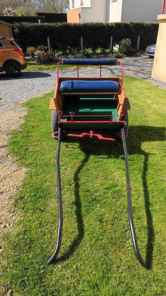 Calèche - 1 cheval ou double poney