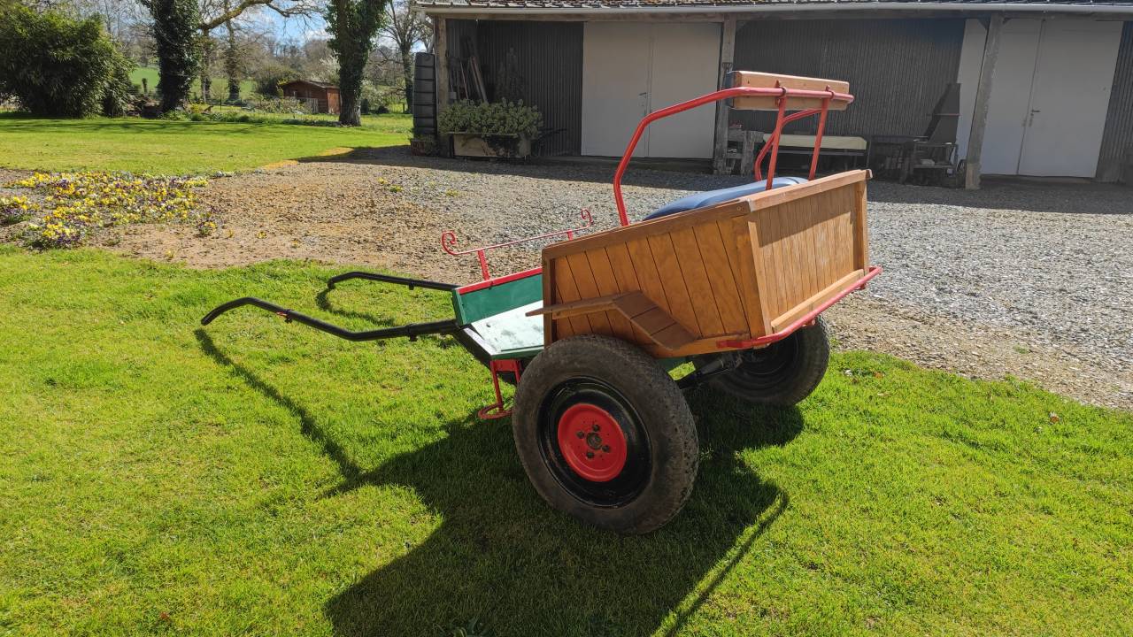 Calèche - 1 cheval ou double poney