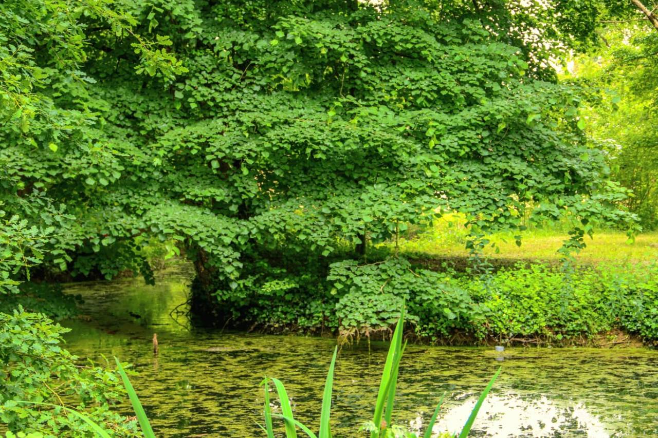 Propriété équestre sur 1,9 ha à 10 mn de Bourges (18)