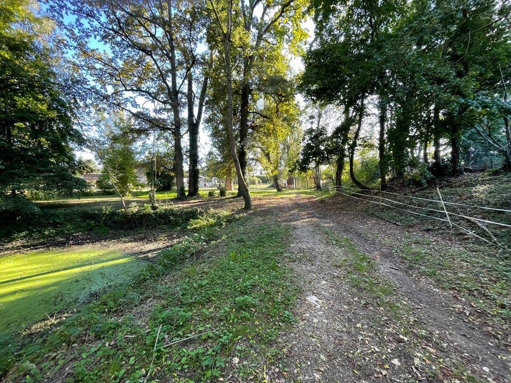 Propriété équestre sur 1,9 ha à 10 mn de Bourges (18)