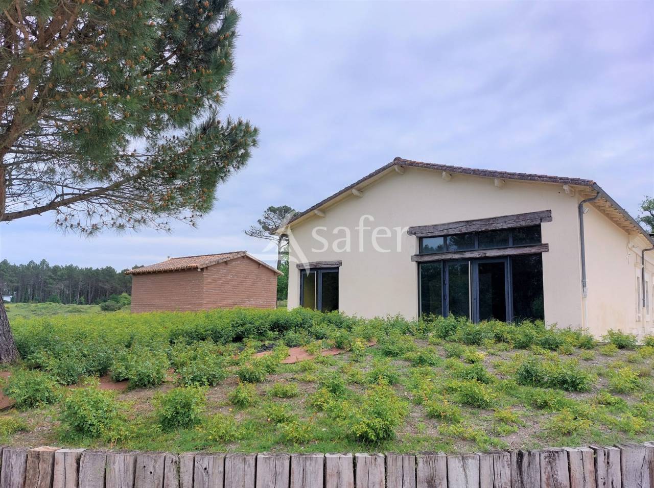 Enclos de chasse avec gîtes et salle de réception sur 100ha
