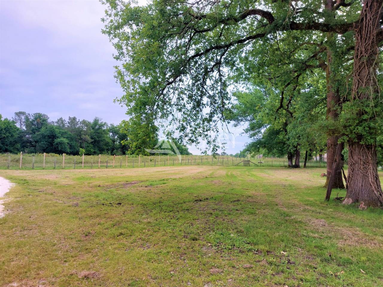 Enclos de chasse avec gîtes et salle de réception sur 100ha