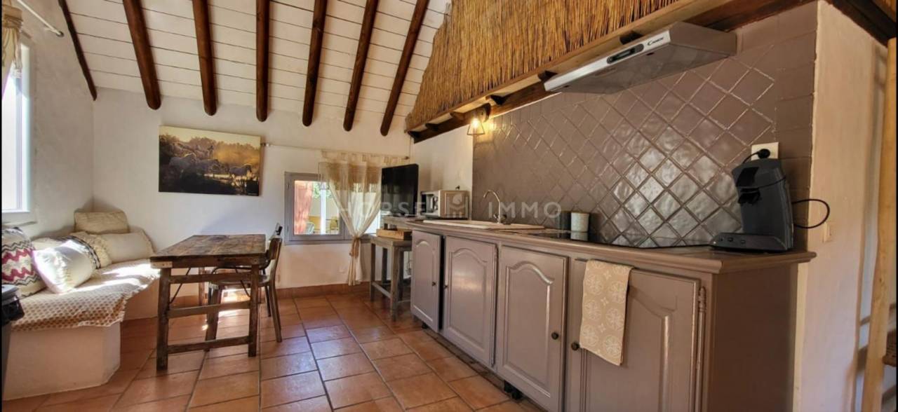 Mas de caractère en Camargue